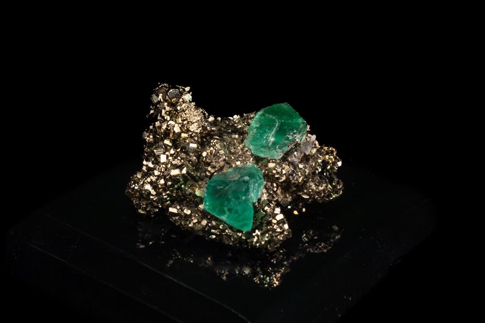 Golden Green Duet, two green fluorite crystals on golden pyrite